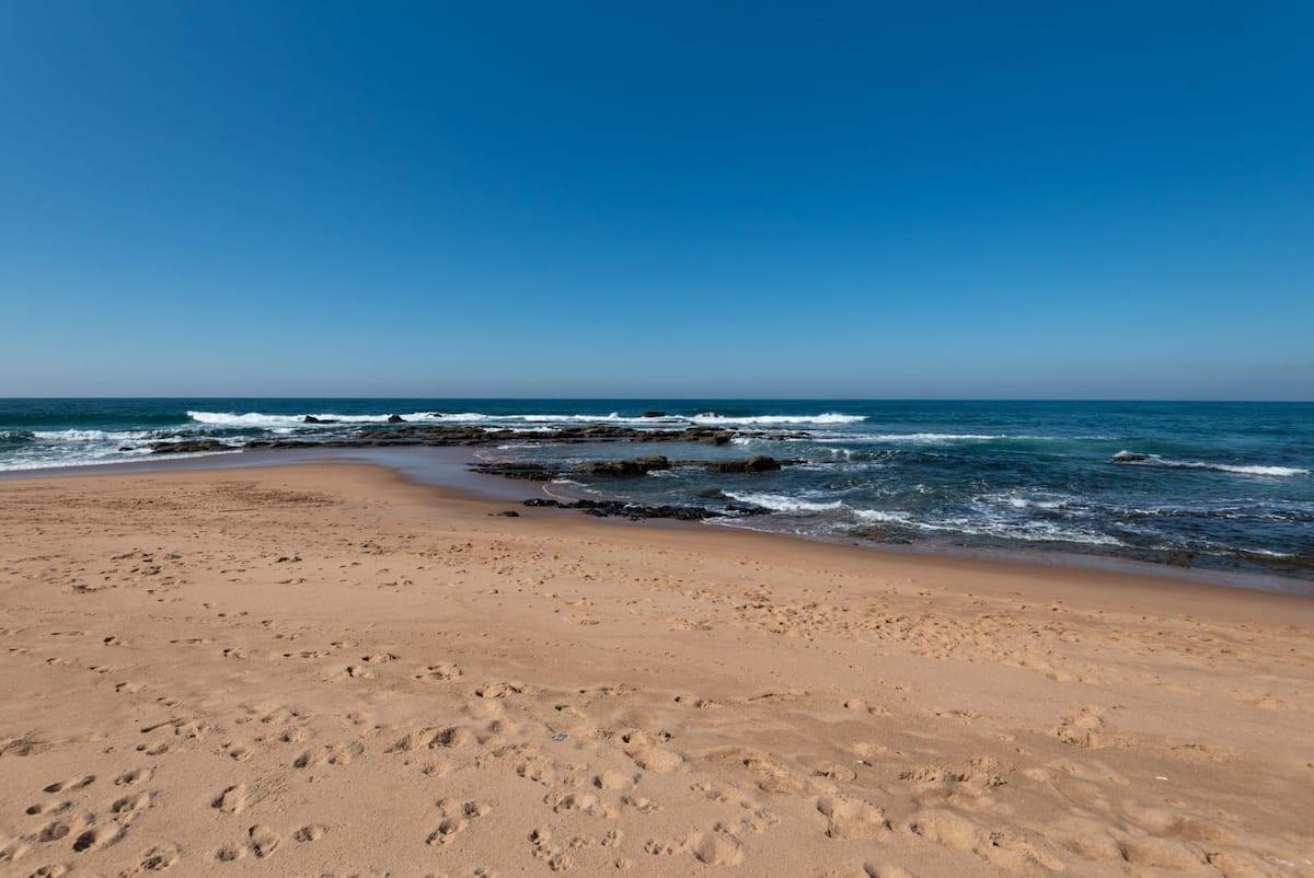 Cockleshell — photo 7